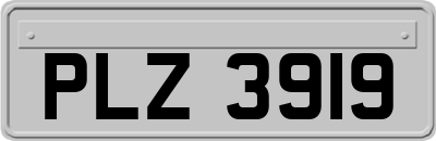 PLZ3919