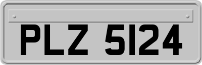 PLZ5124