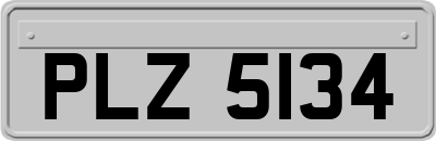 PLZ5134