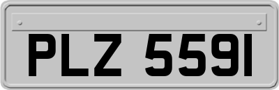 PLZ5591