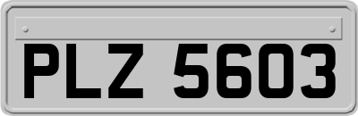 PLZ5603