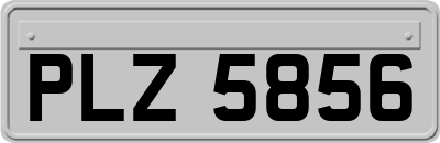 PLZ5856