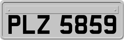 PLZ5859