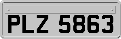 PLZ5863