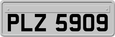 PLZ5909