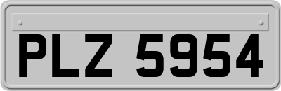 PLZ5954