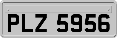 PLZ5956