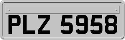 PLZ5958