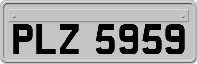 PLZ5959