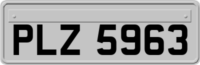 PLZ5963