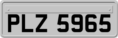 PLZ5965