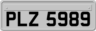 PLZ5989