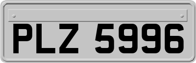 PLZ5996