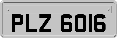 PLZ6016