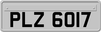 PLZ6017