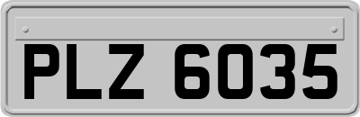 PLZ6035