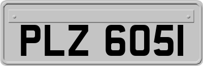 PLZ6051