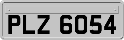 PLZ6054