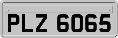 PLZ6065