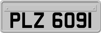 PLZ6091