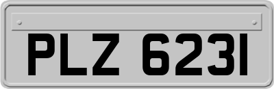 PLZ6231