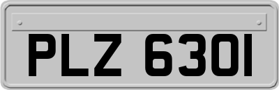 PLZ6301