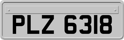 PLZ6318