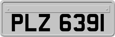 PLZ6391