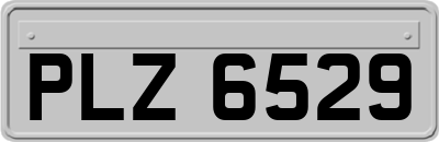 PLZ6529