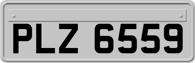 PLZ6559