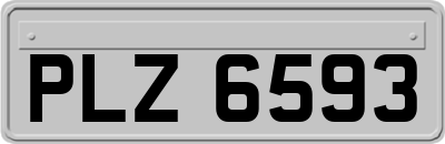 PLZ6593