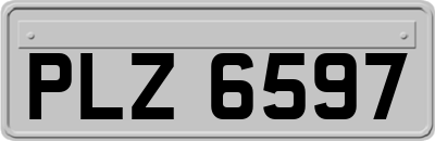 PLZ6597