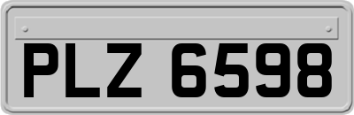 PLZ6598