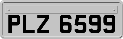 PLZ6599