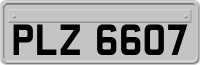 PLZ6607