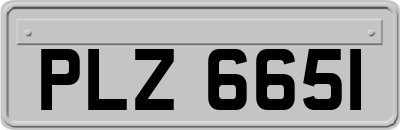 PLZ6651