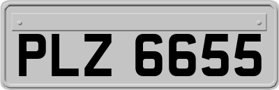 PLZ6655