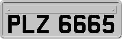 PLZ6665