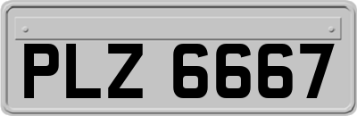 PLZ6667