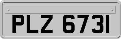 PLZ6731