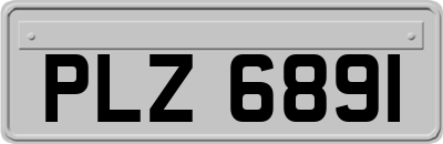 PLZ6891