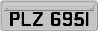 PLZ6951