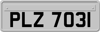 PLZ7031