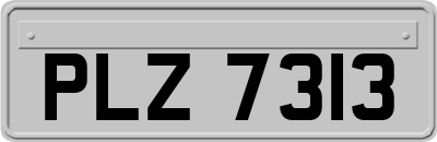 PLZ7313