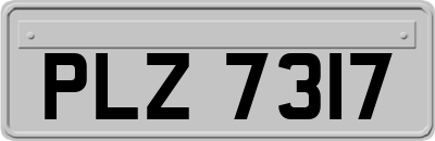 PLZ7317