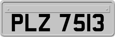 PLZ7513