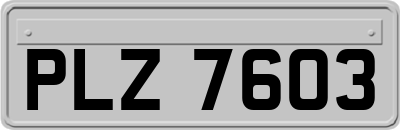 PLZ7603