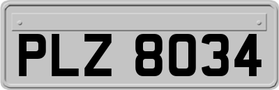 PLZ8034