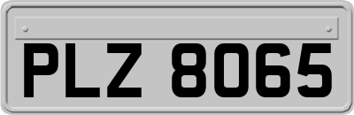 PLZ8065