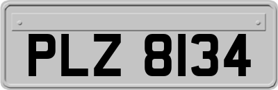 PLZ8134